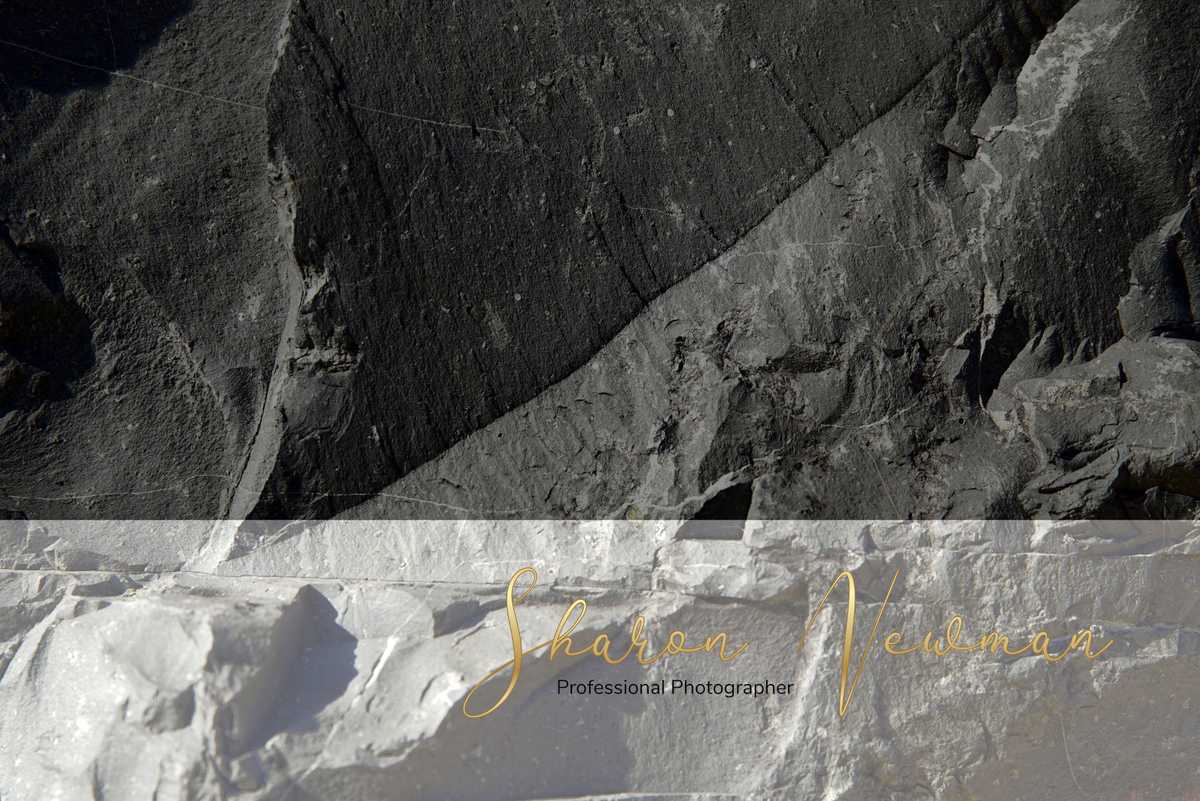 SNPhotography screenshot